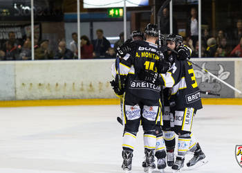 Ajoie se reprend face à Langenthal