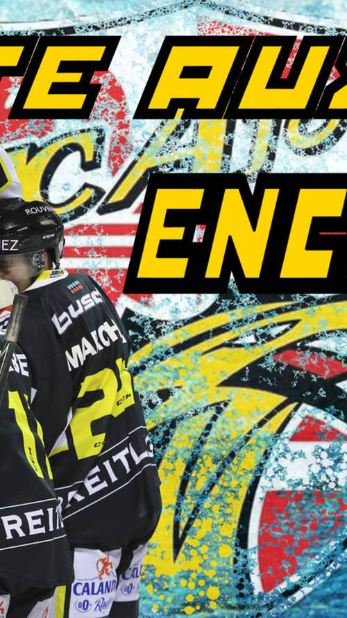 Ventes aux enchères des maillots