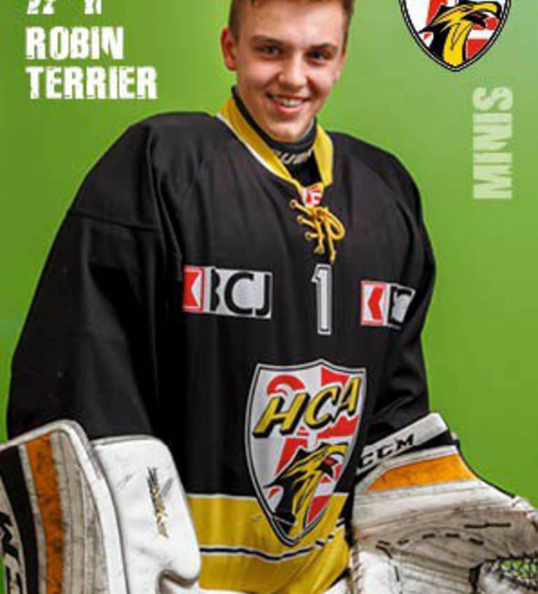 Robin Terrier #