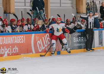 Grenoble Brûleurs de Loups, hc ajoie, patinoire, sport