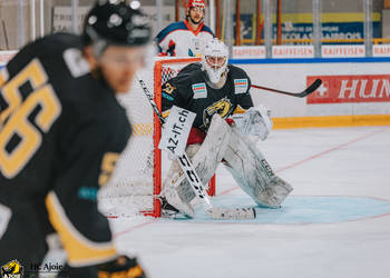 Grenoble Brûleurs de Loups, hc ajoie, patinoire, sport