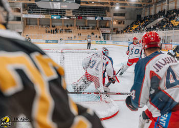 Bietigheim Steelers (DEL), hcajoie, match, victoire