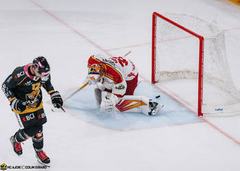 C.G Photographie, Club National League, Colin Girard, HC Ajoie, HCA, HCAjoie, Hockey Club Ajoie, NL, National League, Porrentruy, RAIFFEISEN ARENA, Saison 2023-24, hockey, patinoire