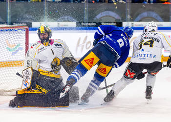 National League 23/24: EV Zug - HC Ajoie - 14-10-2023