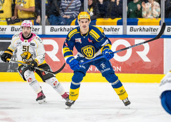 1. mannschaft, Eishockey, HC Davos, HCD, davos, meisterschaft