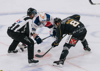 C.G Photographie, Club National League, Colin Girard, HC Ajoie, HCA, HCAjoie, Hockey Club Ajoie, NL, National League, Porrentruy, RAIFFEISEN ARENA, Saison 2023-24, hockey, patinoire