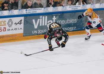 C.G Photographie, Club National League, Colin Girard, HC Ajoie, HCA, HCAjoie, Hockey Club Ajoie, NL, National League, Porrentruy, RAIFFEISEN ARENA, Saison 2023-24, hockey, patinoire