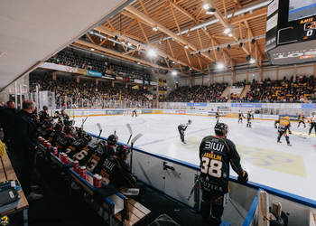 C.G Photographie, Club National League, Colin Girard, HC Ajoie, HCA, HCAjoie, Hockey Club Ajoie, NL, National League, Porrentruy, RAIFFEISEN ARENA, Saison 2023-24, banc joueur, hockey, patinoire