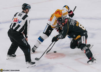 8 Devos Philip-Michaël, C.G Photographie, Club National League, Colin Girard, HC Ajoie, HCA, HCAjoie, Hockey Club Ajoie, Joueurs NL, NL, National League, Porrentruy, RAIFFEISEN ARENA, Saison 2023-24, engagement, hockey, patinoire