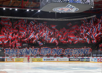 SCRJ Fan Choreo vor dem Spiel der National League zwischen den SC Rapperswil-Jona Lakers und den HC Ajoie, am Samstag, 30. September 2023, in der St. Galler Kantonalbank Arena Rapperswil-Jona. (Thomas Oswald)