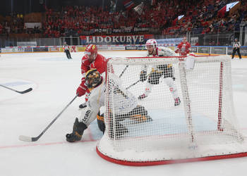 Yannick Lennart Albrecht (SCRJ) gegen Torhueter Tim Wolf (Ajoie) im Spiel der National League zwischen den SC Rapperswil-Jona Lakers und den HC Ajoie, am Samstag, 30. September 2023, in der St. Galler Kantonalbank Arena Rapperswil-Jona. (Thomas Oswald)