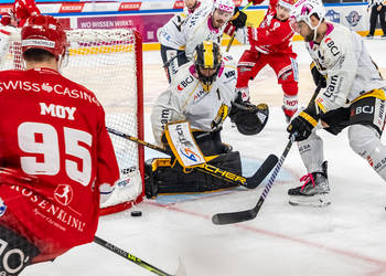 Tyler Moy (SCRJ) gegen Tim Wolf (HCA) im Meisterschaftsspiel der National League zwischen den SC Rapperswil-Jona Lakers und dem HC Ajoie am Samstag, 30.September 2023, in der St. Galler Kantonalbank Arena Rapperswil-Jona. (Fritz Leuzinger)