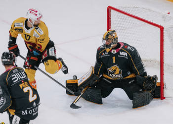 1 Wolf Tim, C.G Photographie, Club National League, Colin Girard, Gardien, HC Ajoie, HCA, HCAjoie, Hockey Club Ajoie, Joueurs NL, NL, National League, Porrentruy, RAIFFEISEN ARENA, SC Bern, Saison 2023-24, arrêt, hockey, patinoire