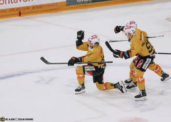 C.G Photographie, Club National League, Colin Girard, HC Ajoie, HCA, HCAjoie, Hockey Club Ajoie, NL, National League, Porrentruy, RAIFFEISEN ARENA, SC Bern, Saison 2023-24, but encaissé, hockey, patinoire