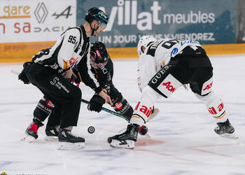 C.G Photographie, Club National League, Colin Girard, HC Ajoie, HCA, HCAjoie, Hockey Club Ajoie, NL, National League, Porrentruy, RAIFFEISEN ARENA, Saison 2023-24, hockey, patinoire