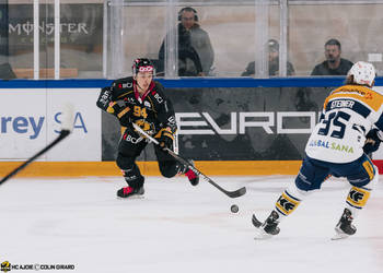 96 Timashov Dmytro, C.G Photographie, Club National League, Colin Girard, HC Ajoie, HCA, HCAjoie, Hockey Club Ajoie, NL, National League, Porrentruy, RAIFFEISEN ARENA, Saison 2023-24, hockey, patinoire