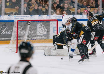 C.G Photographie, Colin Girard, EVZoug, EVZug, HCA, HCAjoie, Hockey Club Ajoie, NL, National League, Porrentruy, RAIFFEISEN ARENA, Saison 2023-24, hockey