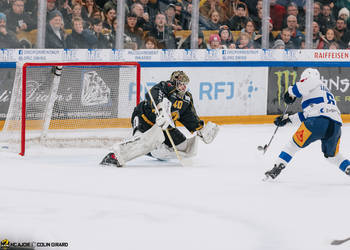 C.G Photographie, Colin Girard, EVZoug, EVZug, HCA, HCAjoie, Hockey Club Ajoie, NL, National League, Porrentruy, RAIFFEISEN ARENA, Saison 2023-24, hockey