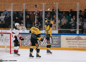 12 Frossard Thibault, 50e, But, C.G Photographie, Colin Girard, HCA, HCAjoie, Hockey Club Ajoie, Joueurs NL, Match spécial, RAIFFEISEN ARENA, Saison 2023-24, célébration