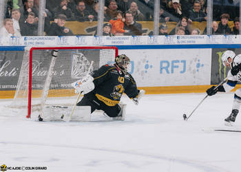 40 Ciaccio Damiano, C.G Photographie, Colin Girard, Gardien, HC Fribourg Gottéron, HCA, HCAjoie, HCFG, Hockey Club Ajoie, Joueurs NL, NL, National League, Porrentruy, RAIFFEISEN ARENA, Saison 2023-24, arrêt, hockey