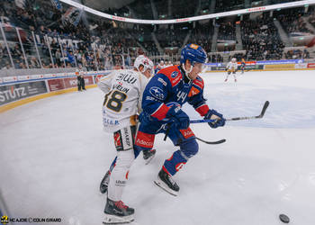 38 Asselin Guillaume, C.G Photographie, Colin Girard, Extérieur, HCA, HCAjoie, Hockey Club Ajoie, Joueurs NL, Saison 2023-24, Swiss Life Arena, ZSC Lions, Zurich