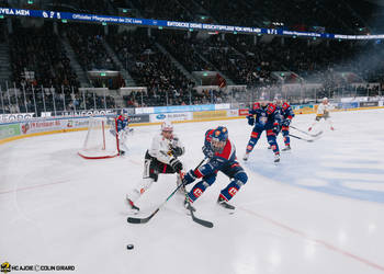 38 Asselin Guillaume, C.G Photographie, Colin Girard, Extérieur, HCA, HCAjoie, Hockey Club Ajoie, Joueurs NL, Saison 2023-24, Swiss Life Arena, ZSC Lions, Zurich