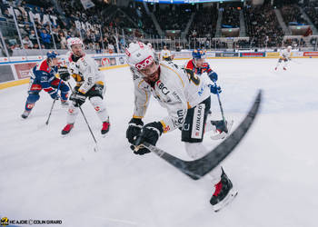 86 Gélinas Eric, C.G Photographie, Colin Girard, Extérieur, HCA, HCAjoie, Hockey Club Ajoie, Joueurs NL, Saison 2023-24, Swiss Life Arena, ZSC Lions, Zurich