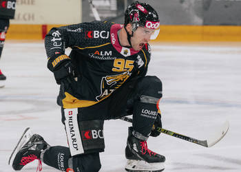 95 Bozon Kevin, But, C.G Photographie, Colin Girard, HCA, HCAjoie, Hockey Club Ajoie, Joueurs NL, NL, National League, Porrentruy, RAIFFEISEN ARENA, SCL Tigers, SCLangnau Tigers, Saison 2023-24, célébration, hockey