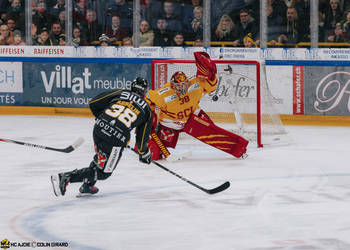 C.G Photographie, Colin Girard, HCA, HCAjoie, Hockey Club Ajoie, NL, National League, Porrentruy, RAIFFEISEN ARENA, SCL Tigers, SCLangnau Tigers, Saison 2023-24, hockey