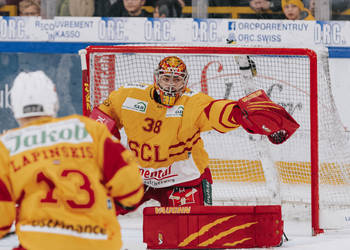 C.G Photographie, Colin Girard, HCA, HCAjoie, Hockey Club Ajoie, NL, National League, Porrentruy, RAIFFEISEN ARENA, SCL Tigers, SCLangnau Tigers, Saison 2023-24, hockey