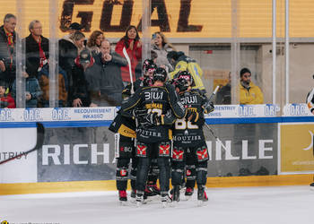 38 Asselin Guillaume, But, C.G Photographie, Colin Girard, Groupe, HCA, HCAjoie, Hockey Club Ajoie, Joueurs NL, NL, National League, Porrentruy, RAIFFEISEN ARENA, SCL Tigers, SCLangnau Tigers, Saison 2023-24, célébration, hockey