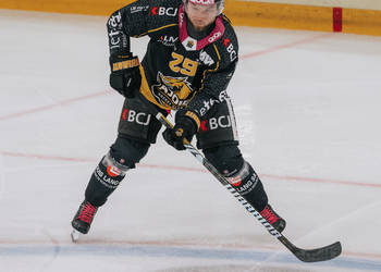 29 Kolher Gilian, C.G Photographie, Colin Girard, HCA, HCAjoie, Hockey Club Ajoie, Joueurs NL, NL, National League, Porrentruy, RAIFFEISEN ARENA, SCL Tigers, SCLangnau Tigers, Saison 2023-24, hockey