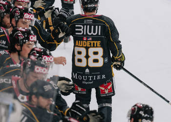 88 Audette Daniel, But, C.G Photographie, Colin Girard, HCA, HCAjoie, Hockey Club Ajoie, NL, National League, Porrentruy, RAIFFEISEN ARENA, SCL Tigers, SCLangnau Tigers, Saison 2023-24, célébration, hockey