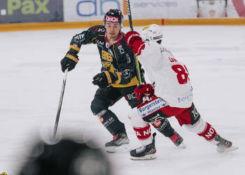 96 Timashov Dmytro, C.G Photographie, Colin Girard, HCA, HCAjoie, Hockey Club Ajoie, NL, National League, Porrentruy, RAIFFEISEN ARENA, SC Rapperswil Jona-Lakers, SCRJL, Saison 2023-24, hockey