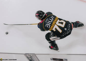 70 Romanenghi Matteo, C.G Photographie, Colin Girard, EVZ, EVZoug, EVZug, HCA, HCAjoie, Hockey Club Ajoie, Joueurs NL, NL, National League, Porrentruy, RAIFFEISEN ARENA, Saison 2023-24, hockey