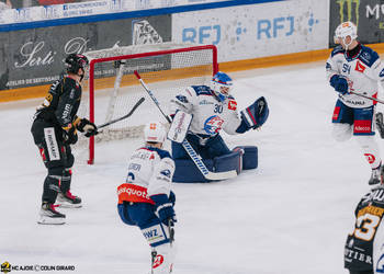 C.G Photographie, Colin Girard, HCA, HCAjoie, Hockey Club Ajoie, NL, National League, Porrentruy, RAIFFEISEN ARENA, Saison 2023-24, ZSC Lions, arrêt, hockey