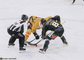 8 Devos Philip-Michaël, C.G Photographie, Colin Girard, HCA, HCAjoie, Hockey Club Ajoie, Joueurs NL, NL, National League, Porrentruy, RAIFFEISEN ARENA, SC Bern, Saison 2023-24, engagement, hockey