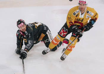 12 Frossard Thibault, C.G Photographie, Colin Girard, HCA, HCAjoie, Hockey Club Ajoie, Joueurs NL, NL, National League, Porrentruy, RAIFFEISEN ARENA, SC Bern, Saison 2023-24, hockey