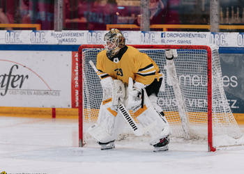 29 Noah Patenaude, C.G Photographie, Colin Girard, EHC Basel, HCA, HCAjoie, Hockey Club Ajoie, Match amical, NL, National League, Porrentruy, RAIFFEISEN ARENA, Saison 2024-25, hockey