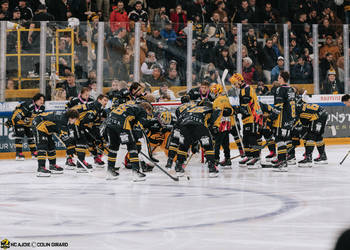 C.G Photographie, Club National League, Colin Girard, Groupe, HCA, HCA Vs SC Bern, HCAjoie, Hockey Club Ajoie, NL, National League, Porrentruy, Public, RAIFFEISEN ARENA, Saison 2024-25, avant match, hockey