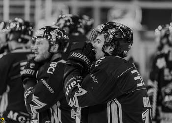 13 Robin Louis, C.G Photographie, Club National League, Colin Girard, HCA, HCA Vs SC Bern, HCAjoie, Hockey Club Ajoie, Joueurs 1ERE, NL, National League, Porrentruy, RAIFFEISEN ARENA, Saison 2024-25, emotion, hockey