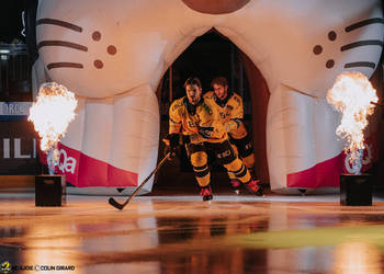 89 Palve Oula, C.G Photographie, Colin Girard, HCA, HCA Vs EVZ, HCAjoie, Hockey Club Ajoie, Joueurs 1ERE, Maillot Jaune, NL, National League, Porrentruy, RAIFFEISEN ARENA, Saison 2024-25, entrée joueurs, hockey