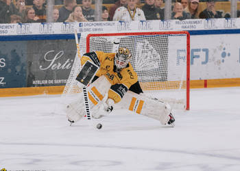 29 Noah Patenaude, C.G Photographie, Colin Girard, HCA, HCA Vs EVZ, HCAjoie, Hockey Club Ajoie, Joueurs 1ERE, Maillot Jaune, NL, National League, Porrentruy, RAIFFEISEN ARENA, Saison 2024-25, arrêt, hockey