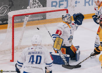 8 Devos Philip-Michaël, But, C.G Photographie, Colin Girard, HCA, HCA Vs EVZ, HCAjoie, Hockey Club Ajoie, Joueurs NL, Maillot Jaune, NL, National League, Porrentruy, RAIFFEISEN ARENA, Saison 2023-24, Saison 2024-25, hockey