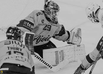 29 Noah Patenaude, C.G Photographie, Colin Girard, HCA, HCA Vs EVZ, HCAjoie, Hockey Club Ajoie, Joueurs 1ERE, Maillot Jaune, NL, National League, Porrentruy, RAIFFEISEN ARENA, Saison 2024-25, hockey