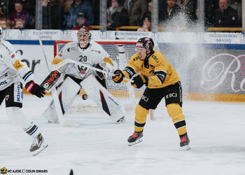 13 Robin Louis, C.G Photographie, Club National League, Colin Girard, HCA, HCAjoie, Hockey Club Ajoie, Joueurs 1ERE, Maillot Jaune, NL, National League, Porrentruy, RAIFFEISEN ARENA, Saison 2024-25, grimace, hockey