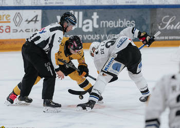 46 Rundqvist Adam, C.G Photographie, Club National League, Colin Girard, HCA, HCAjoie, Hockey Club Ajoie, Joueurs 1ERE, Maillot Jaune, NL, National League, Porrentruy, RAIFFEISEN ARENA, Saison 2024-25, Villat Meubles, engagement, hockey, sponsor
