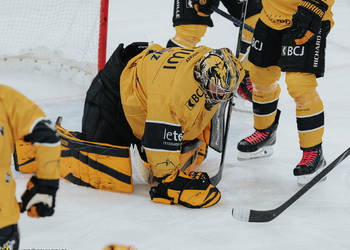 C.G Photographie, Club National League, Colin Girard, HCA, HCAjoie, Hockey Club Ajoie, Maillot Jaune, NL, National League, Porrentruy, RAIFFEISEN ARENA, Saison 2024-25, hockey
