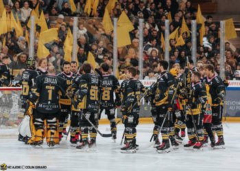 C.G Photographie, Club National League, Colin Girard, HCA, HCA Vs HCAP, HCAjoie, Hockey Club Ajoie, NL, National League, Porrentruy, RAIFFEISEN ARENA, Saison 2024-25, cop, hockey, kop, maillot noir, supporters, tifo