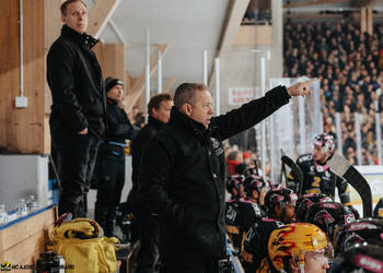 C.G Photographie, Club National League, Colin Girard, HCA, HCA Vs HCAP, HCAjoie, Hockey Club Ajoie, Ireland Greg - Headcoach, NL, National League, Porrentruy, RAIFFEISEN ARENA, Saison 2024-25, hockey, maillot noir